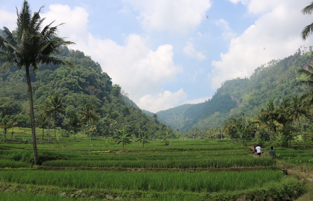 Salatiga Permaculture